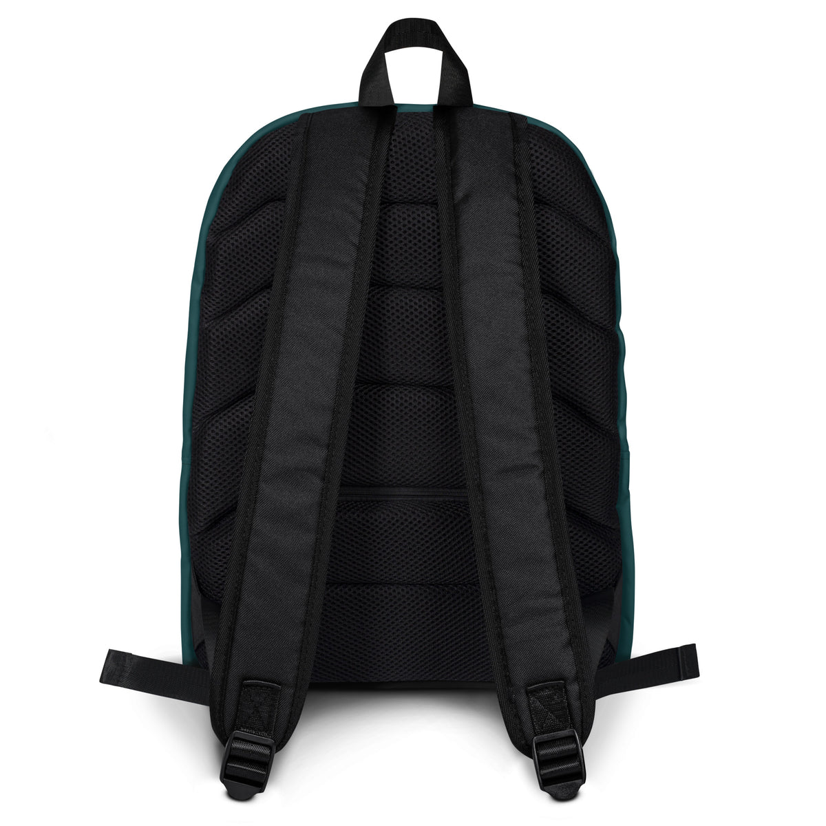 Map Turtle Backpack – back