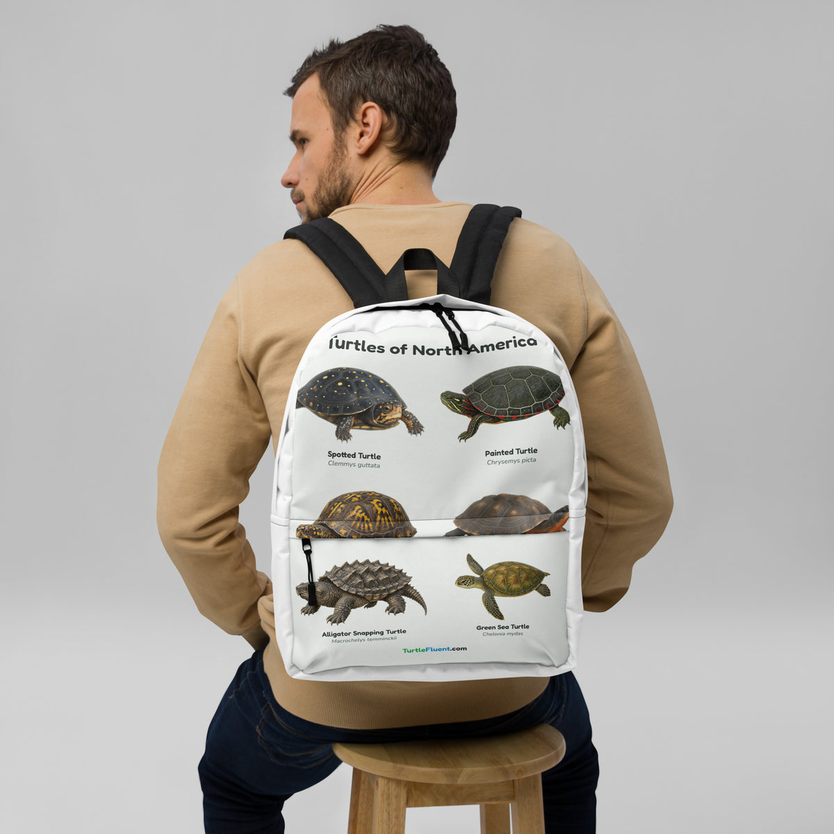 Turtles of North America Backpack – White – front