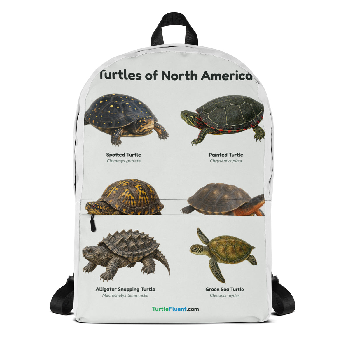Turtles of North America Backpack – White – front