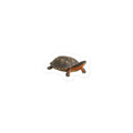 Wood Turtle Sticker – front
