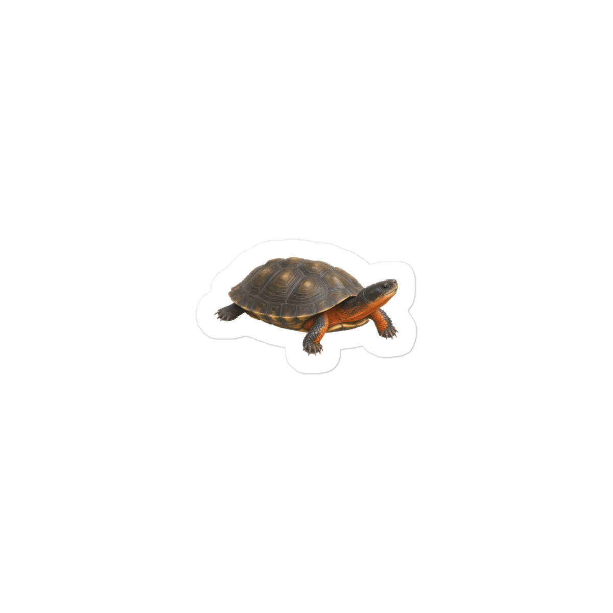 Wood Turtle Sticker – front