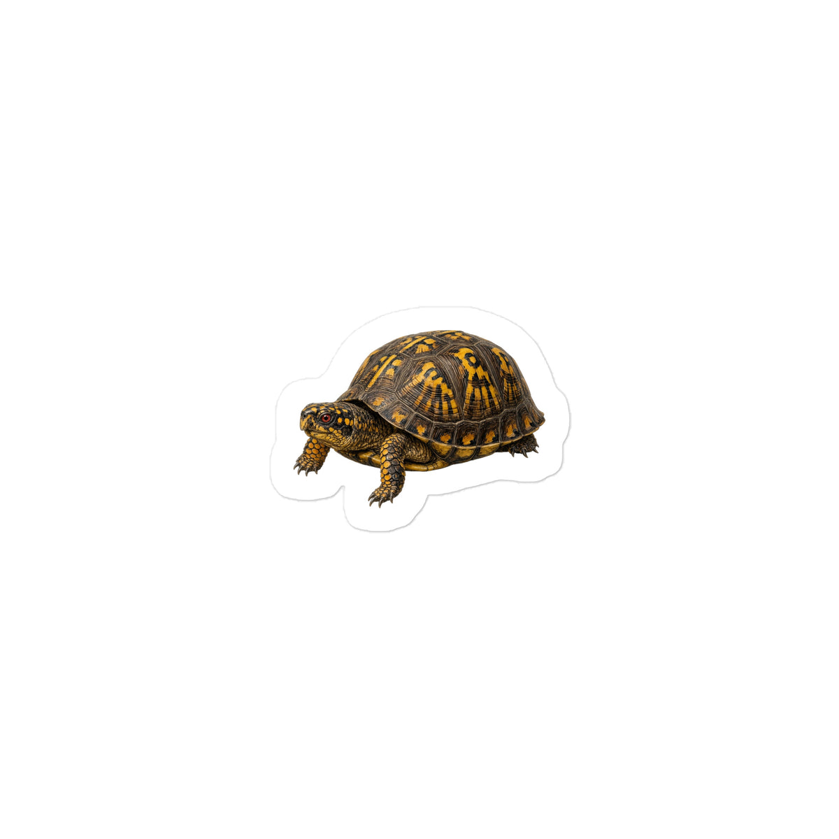 Eastern Box Turtle Sticker – front