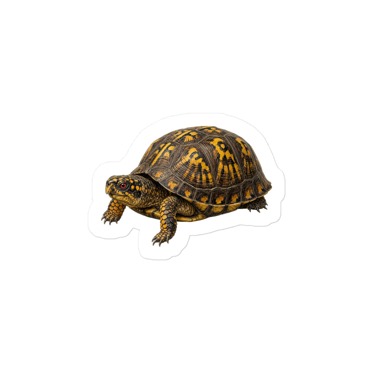 Eastern Box Turtle Sticker – front