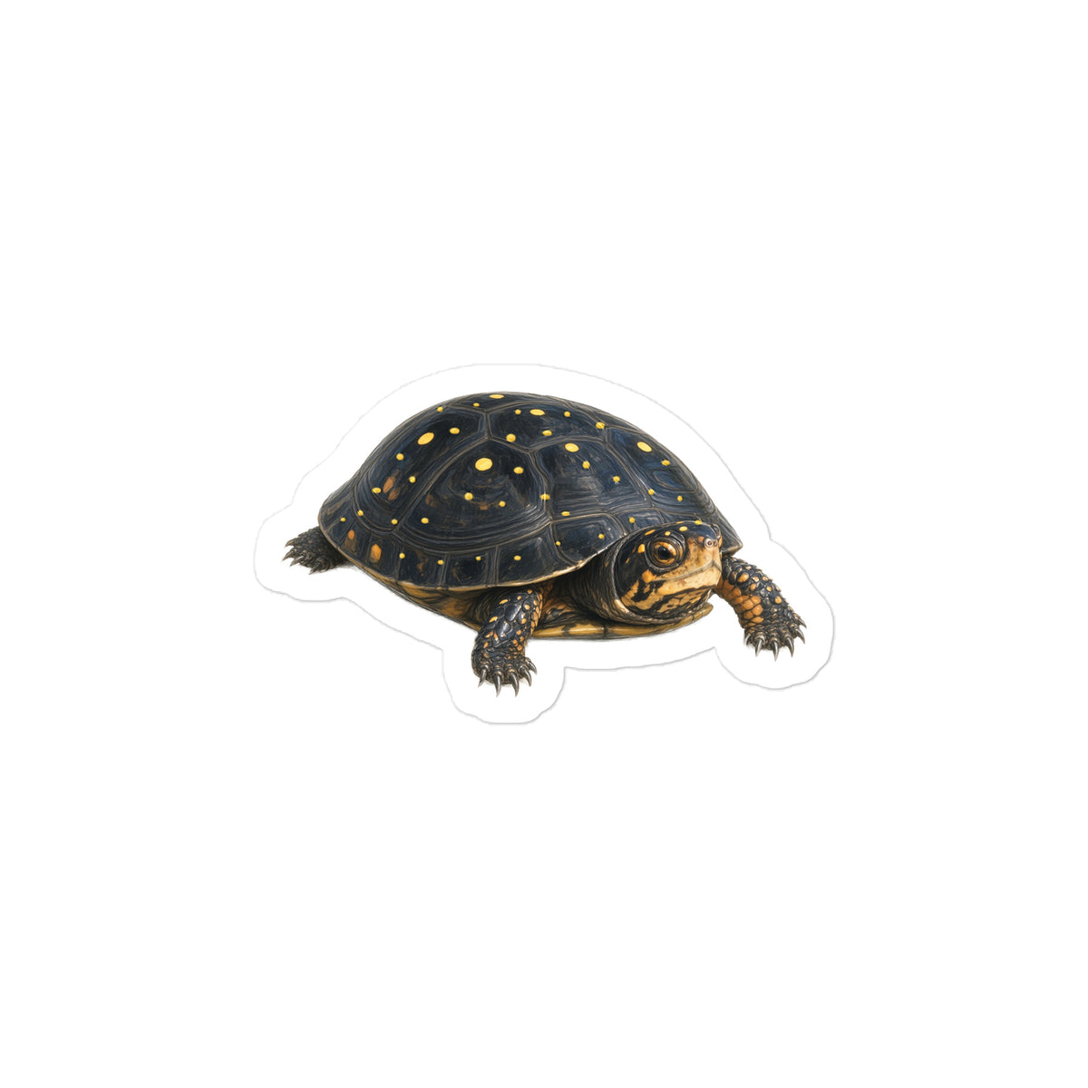 Spotted Turtle Sticker – front
