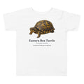Eastern Box Turtle Toddler Tee – White – front