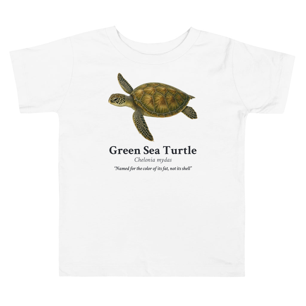 Green Sea Turtle Toddler Tee – White – front