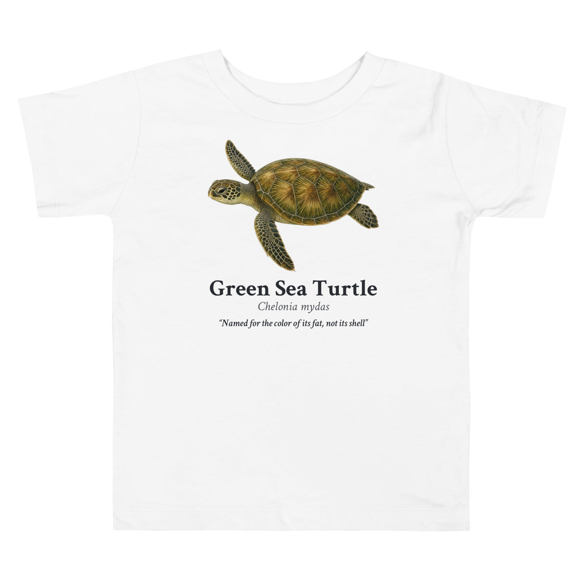 Green Sea Turtle Toddler Tee – White – front
