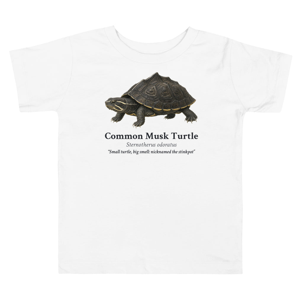 Common Musk Turtle Toddler Tee – White – front
