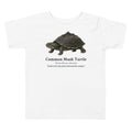 Common Musk Turtle Toddler Tee – White – front
