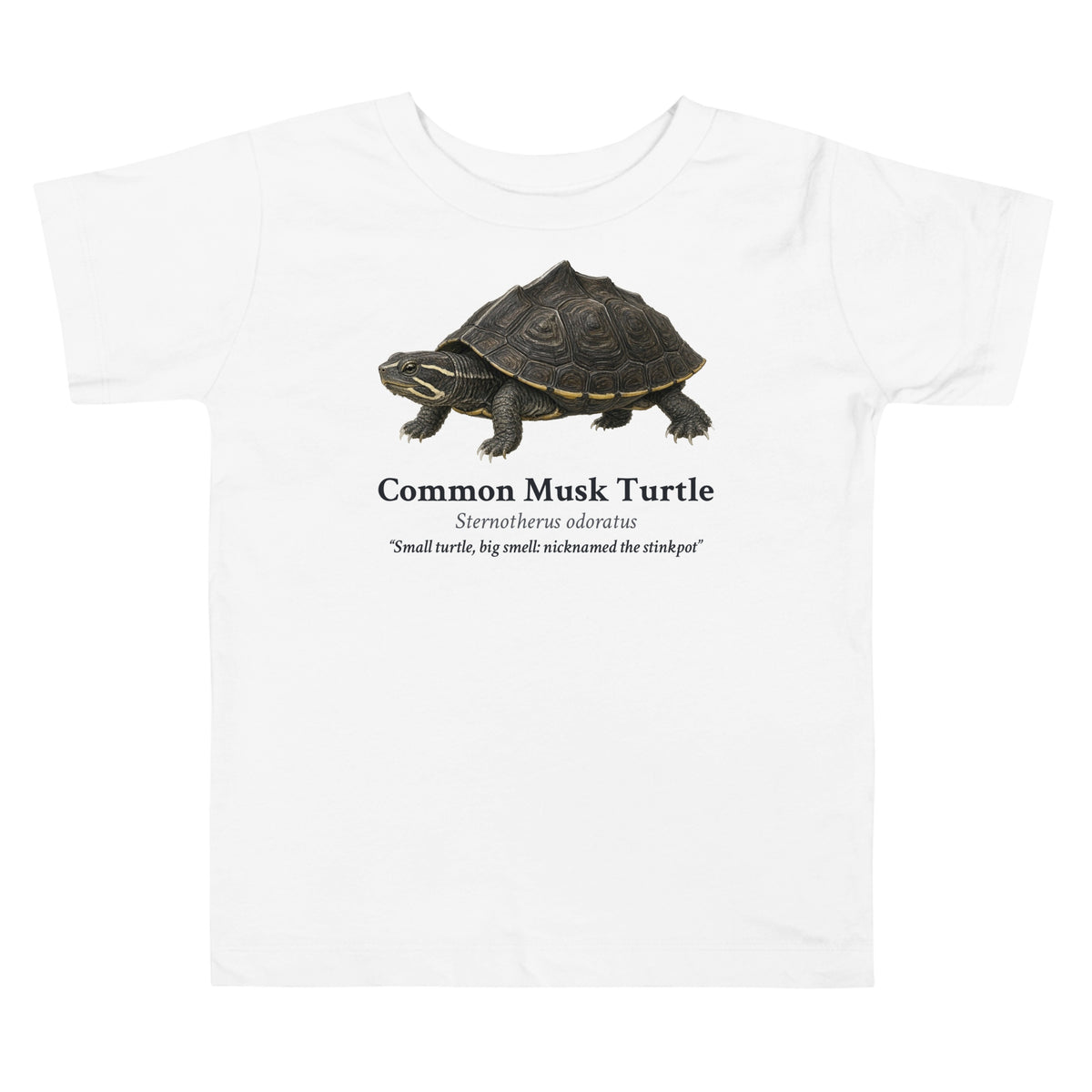 Common Musk Turtle Toddler Tee – White – front