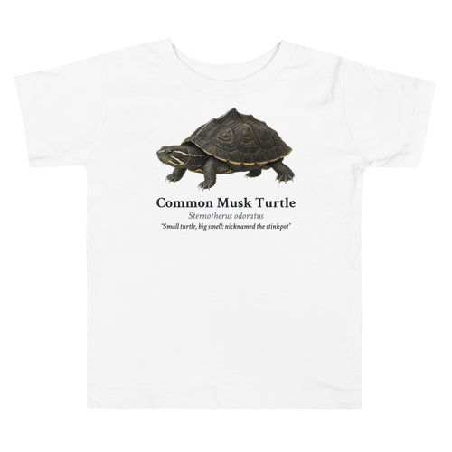 Common Musk Turtle Toddler Tee – White – front