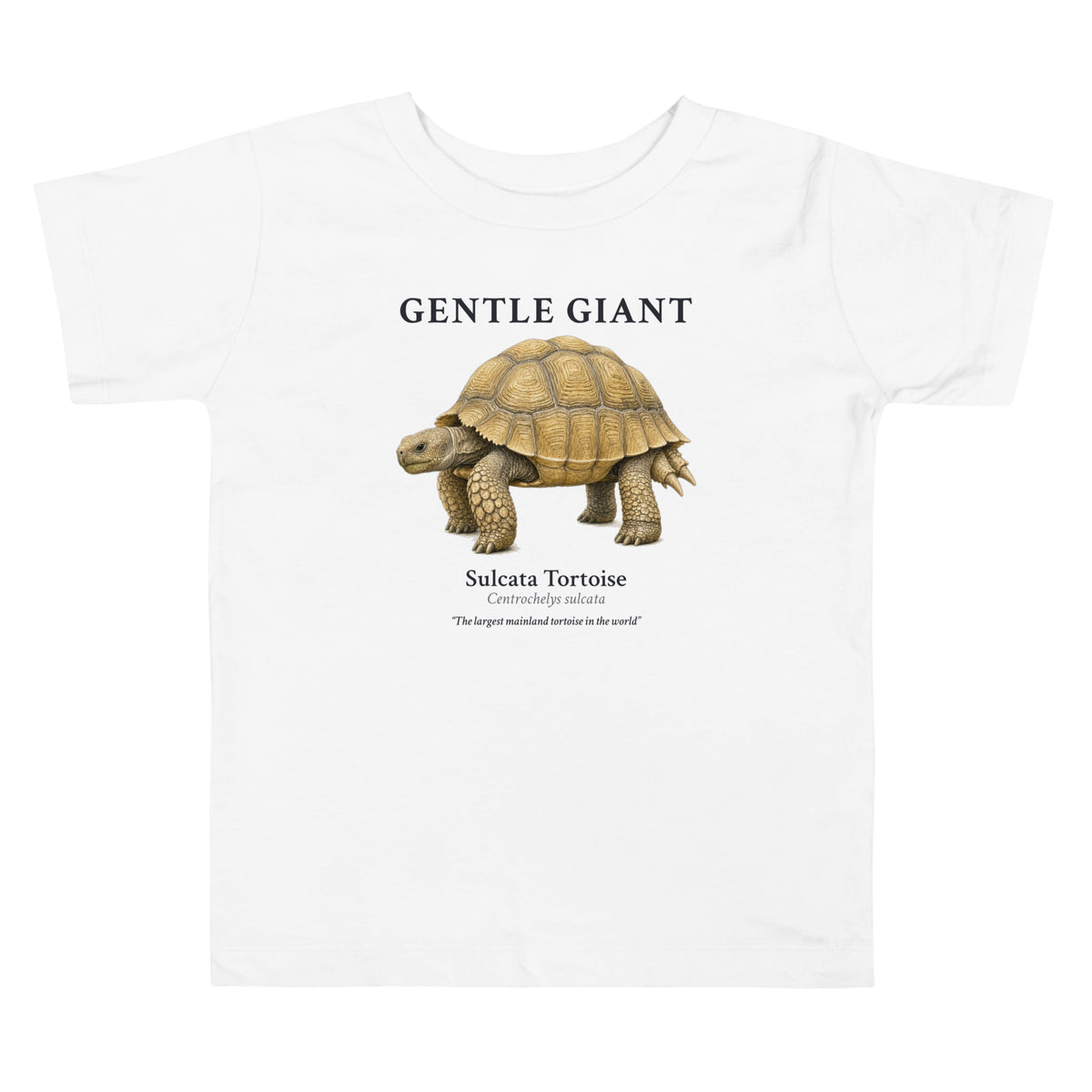 Sulcata Tortoise Toddler Tee – White – front