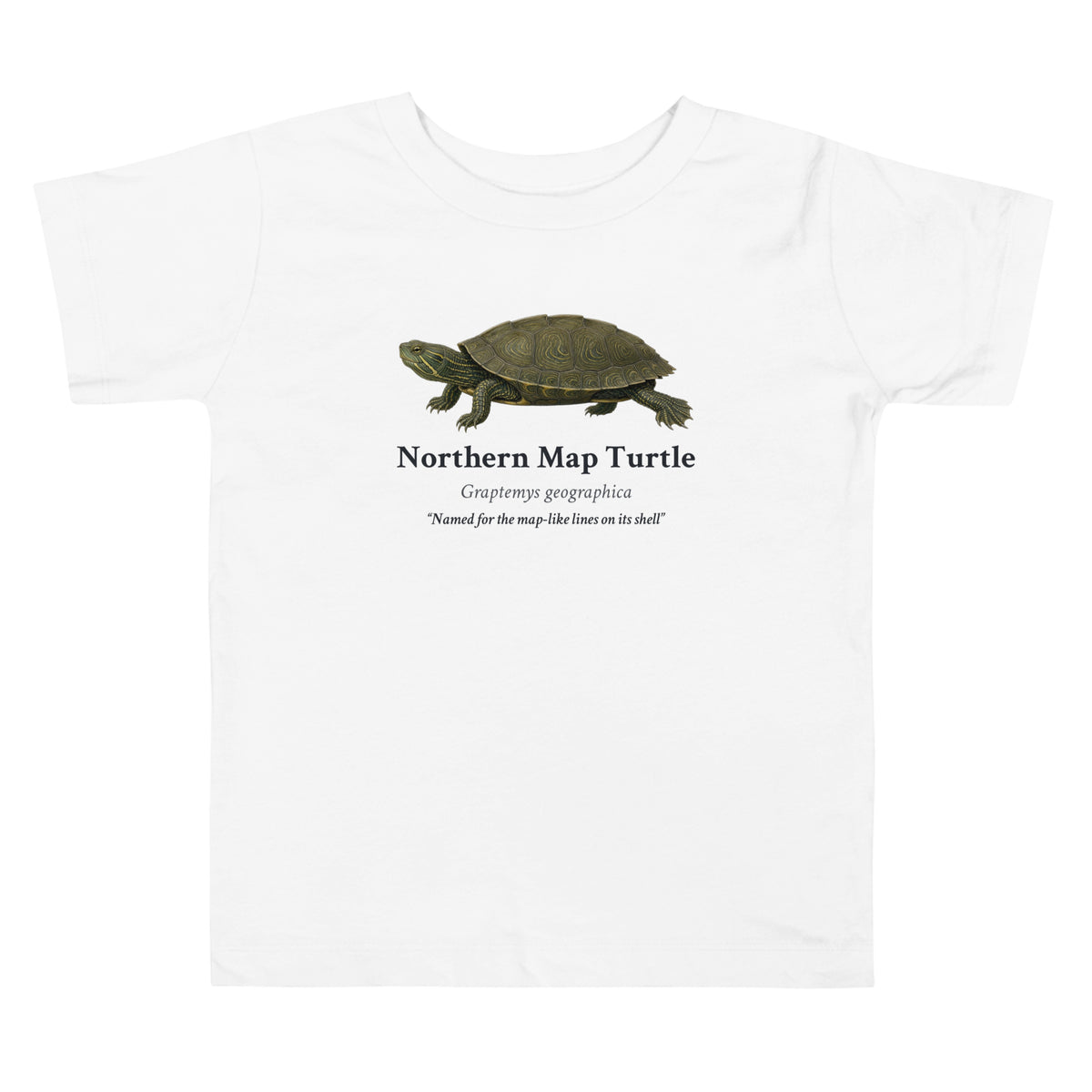 Northern Map Turtle Toddler Tee – White – front