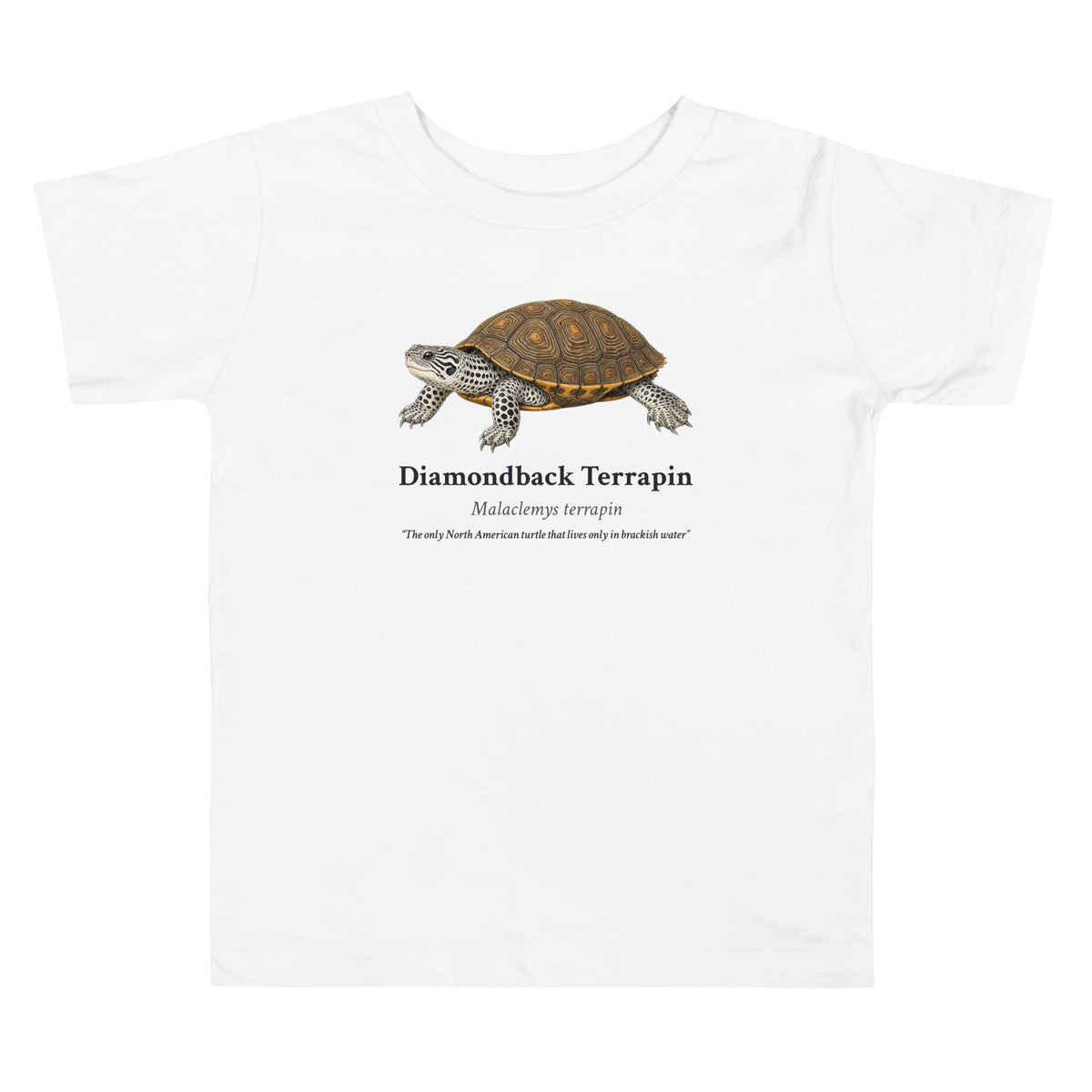 Diamondback Terrapin Toddler Tee – White – front