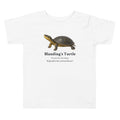 Blanding's Turtle Toddler Tee – White – front