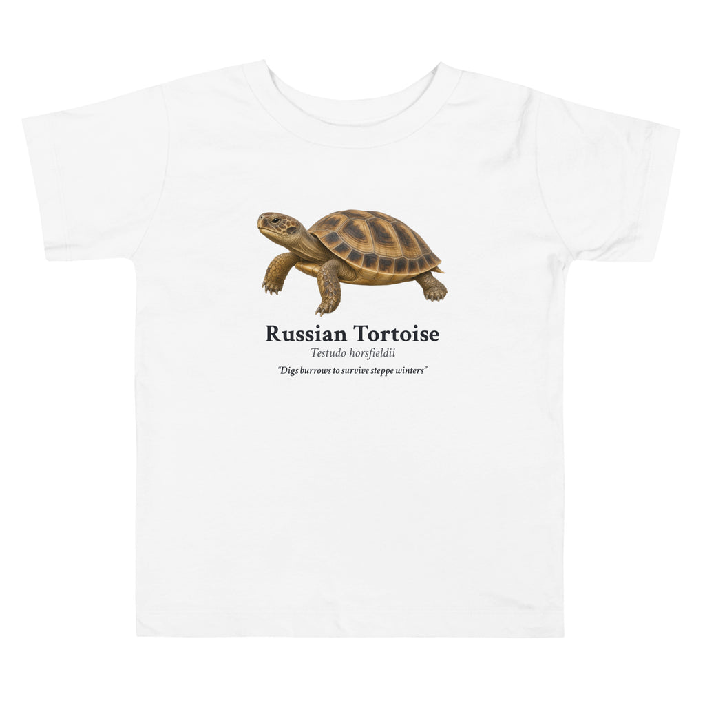Russian Tortoise Toddler Tee – White – front