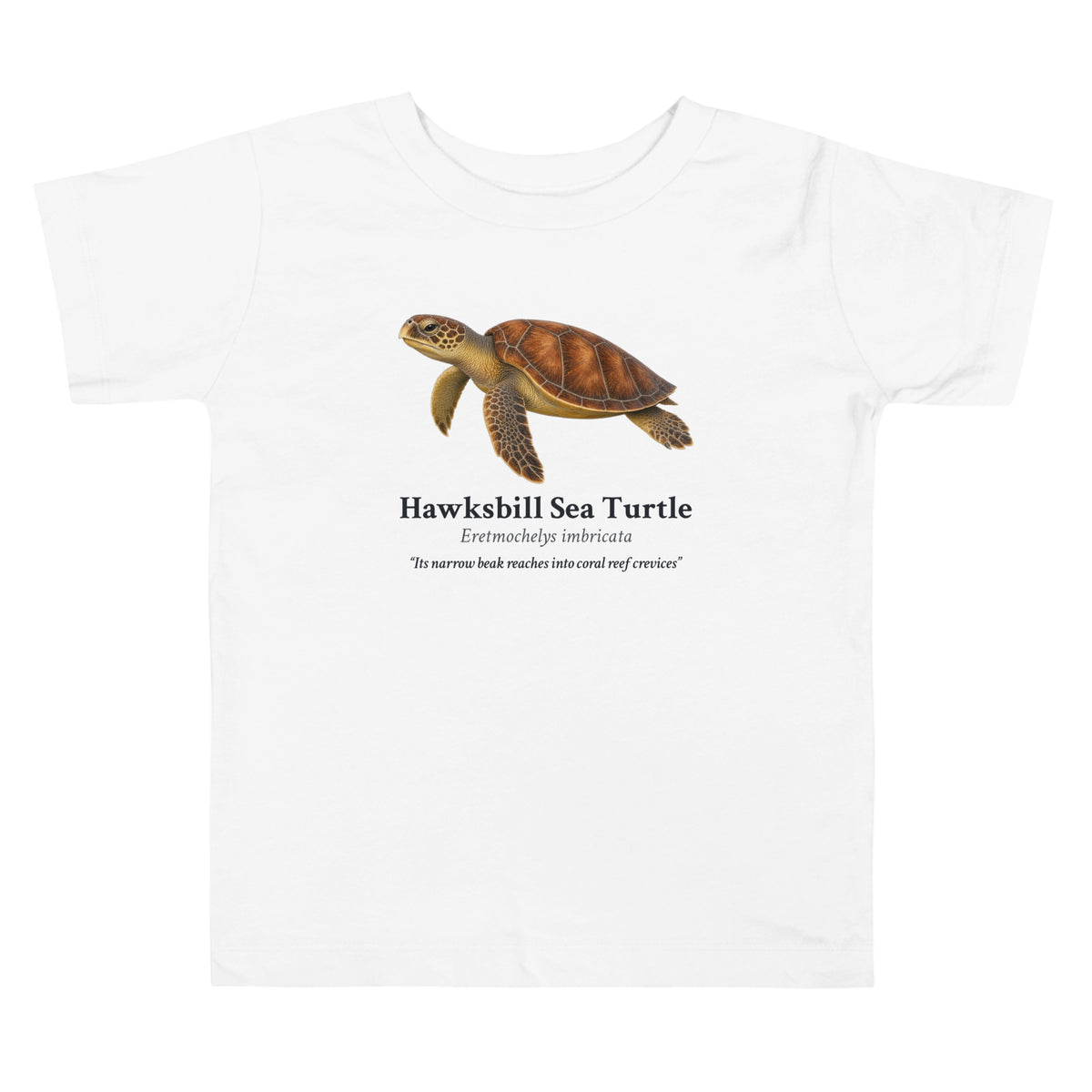 Hawksbill Sea Turtle Toddler Tee – White – front