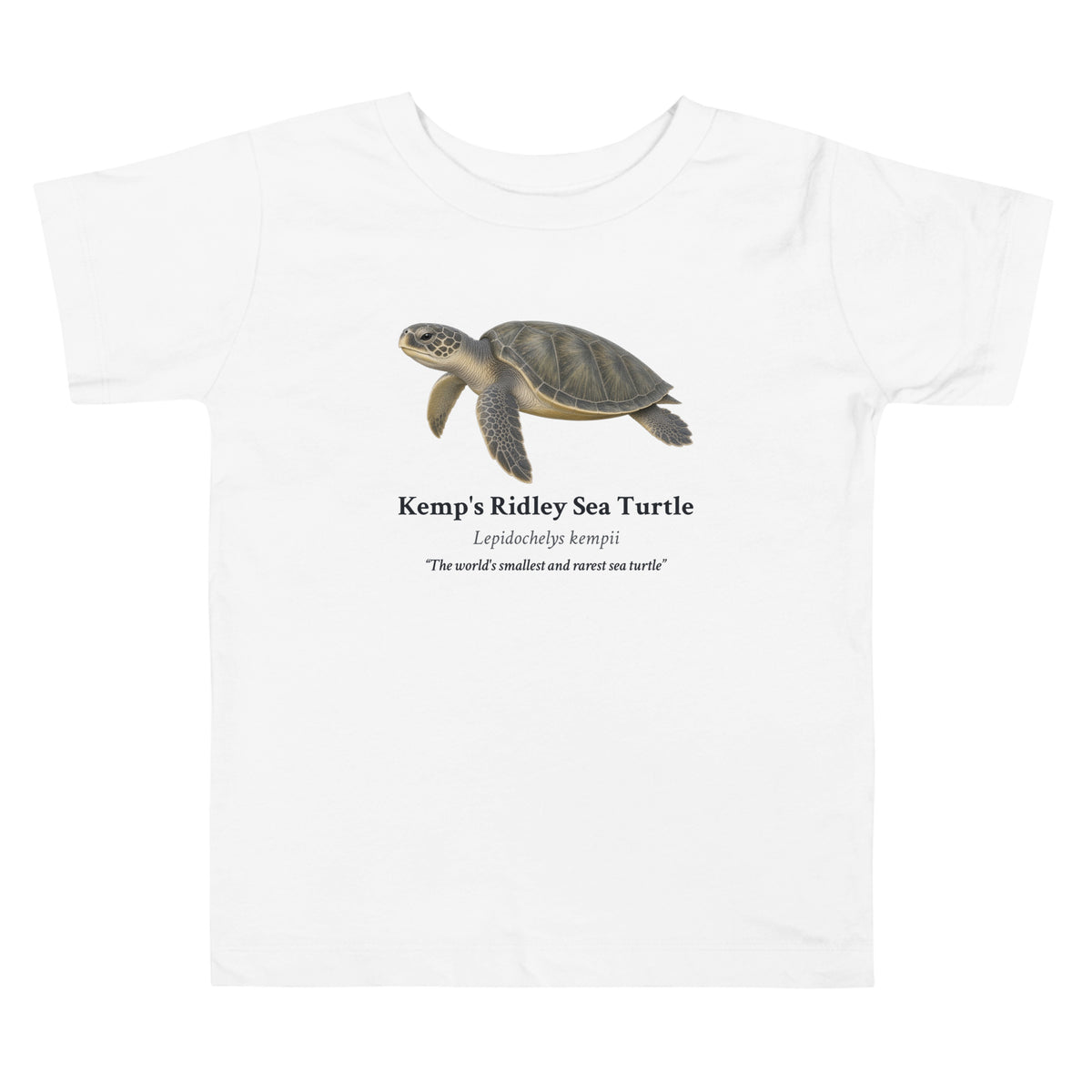 Kemp's Ridley Sea Turtle Toddler Tee – White – front