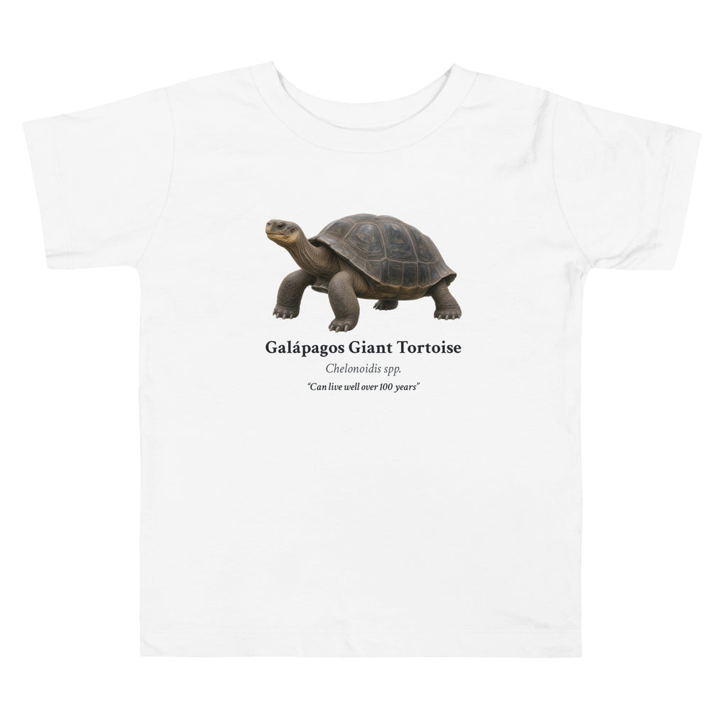 Galápagos Giant Tortoise Toddler Tee – White – front