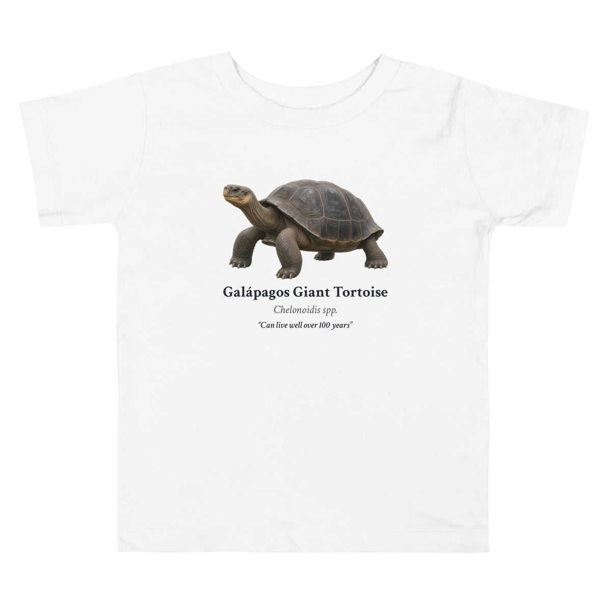 Galápagos Giant Tortoise Toddler Tee – White – front