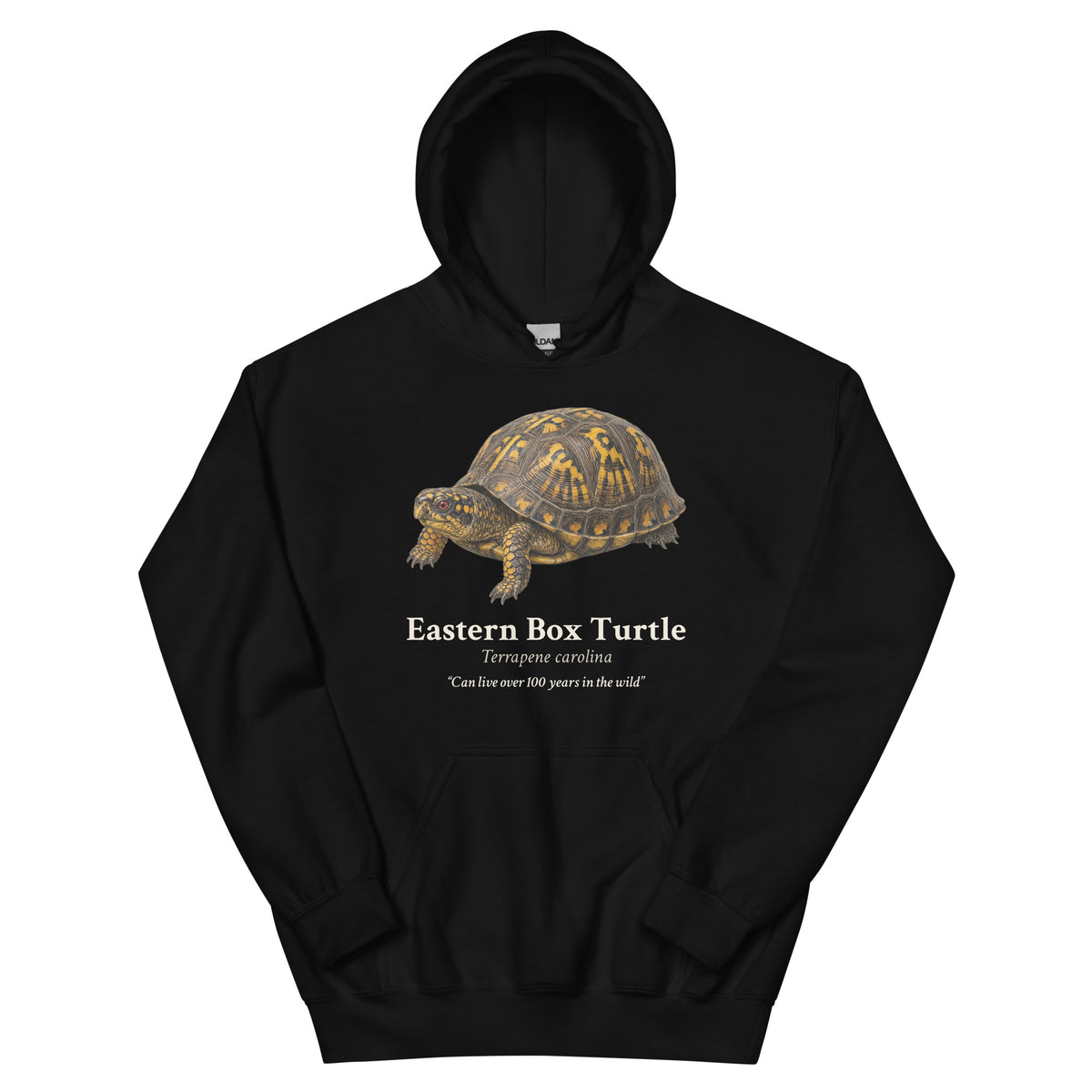 Eastern Box Turtle Hoodie – Black – front