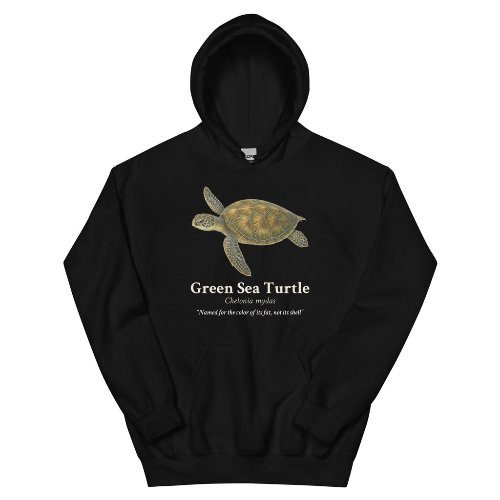 Green Sea Turtle Hoodie – Black – front