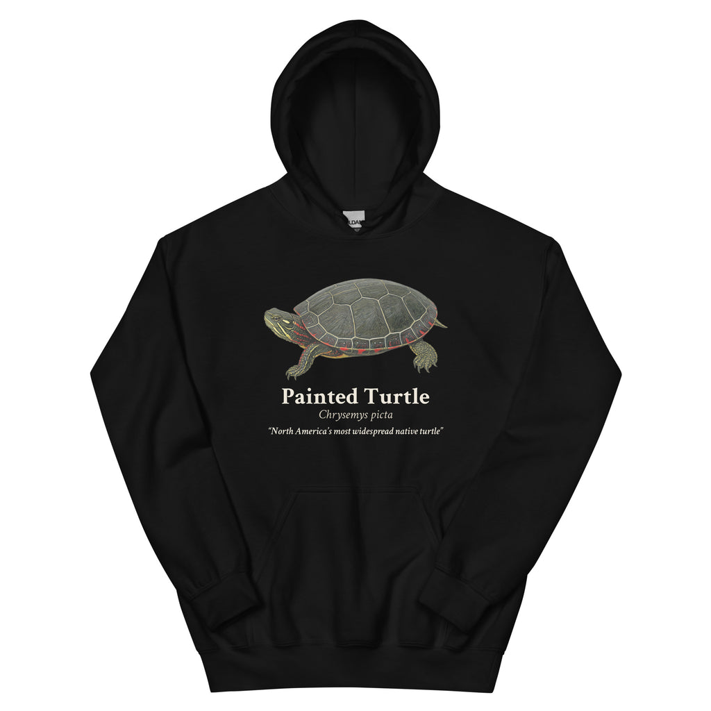 Painted Turtle Hoodie – Black – front