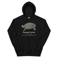Painted Turtle Hoodie – Black – front