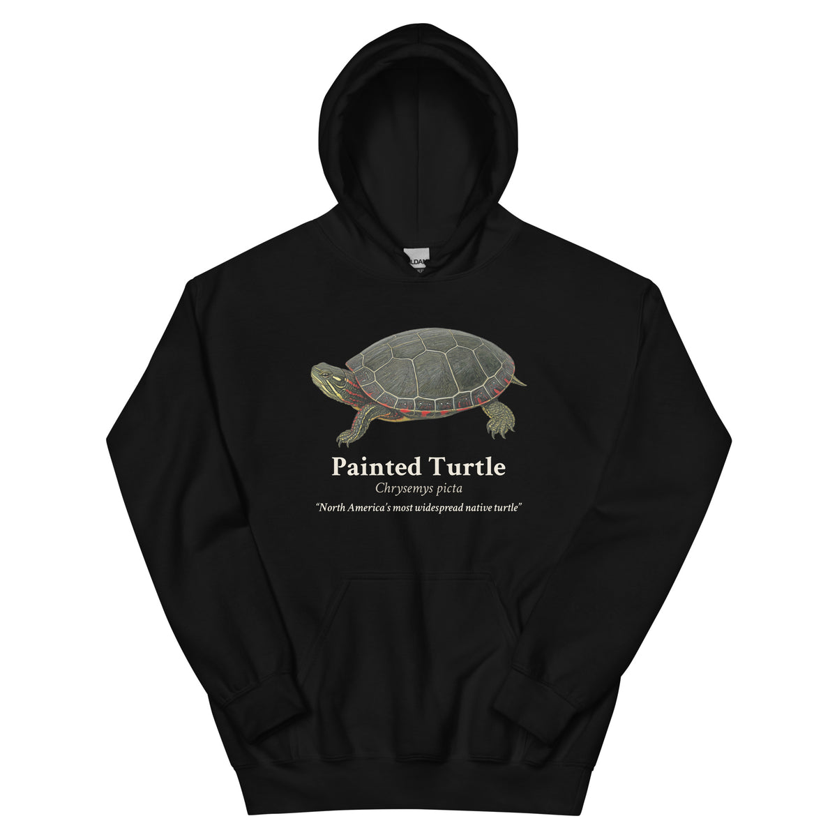 Painted Turtle Hoodie – Black – front