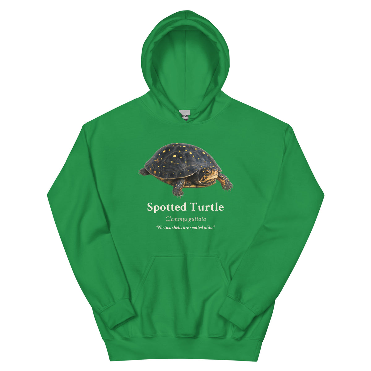 Spotted Turtle Hoodie – Blue & Green – Green – front