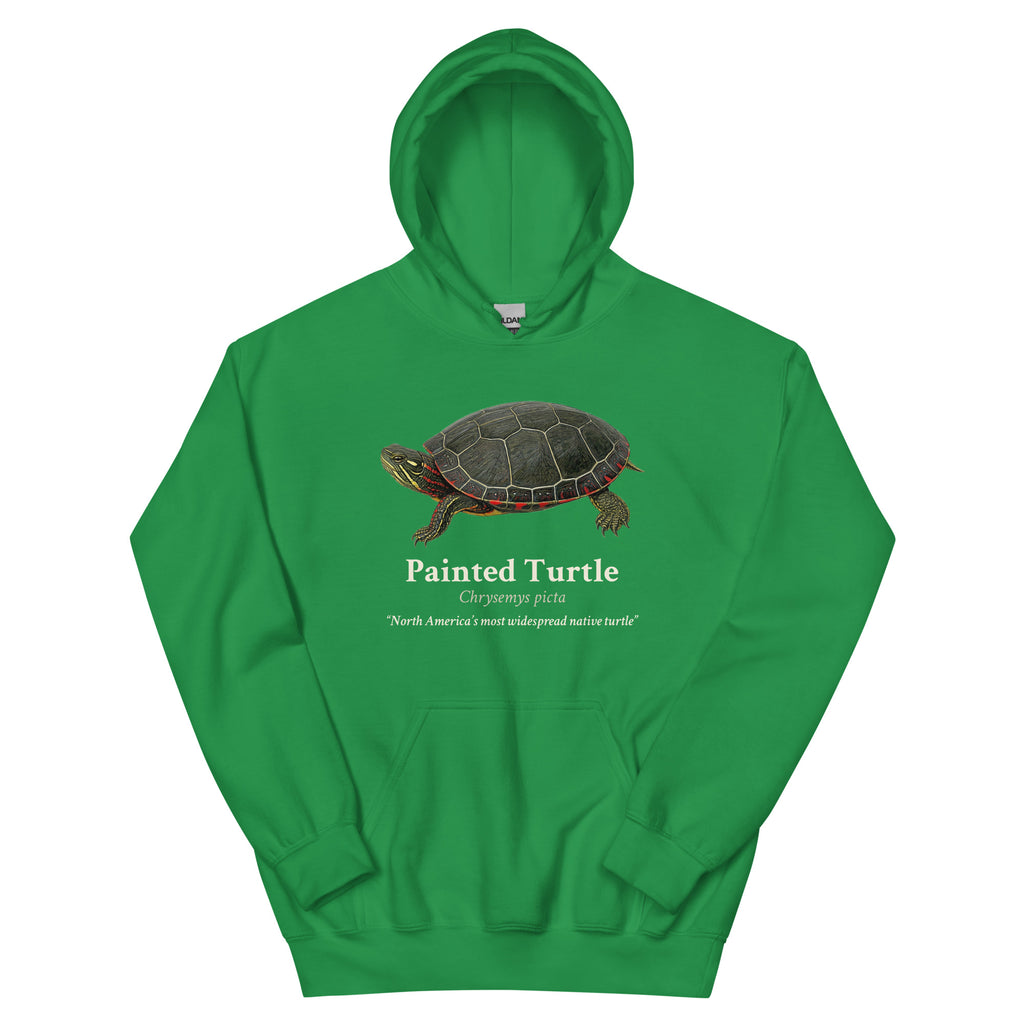 Painted Turtle Hoodie – Blue & Green – Green – front