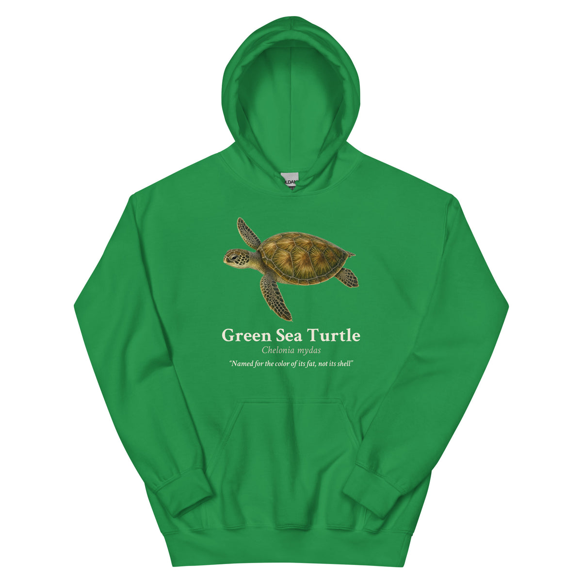 Green Sea Turtle Hoodie – Blue & Green – Green – front