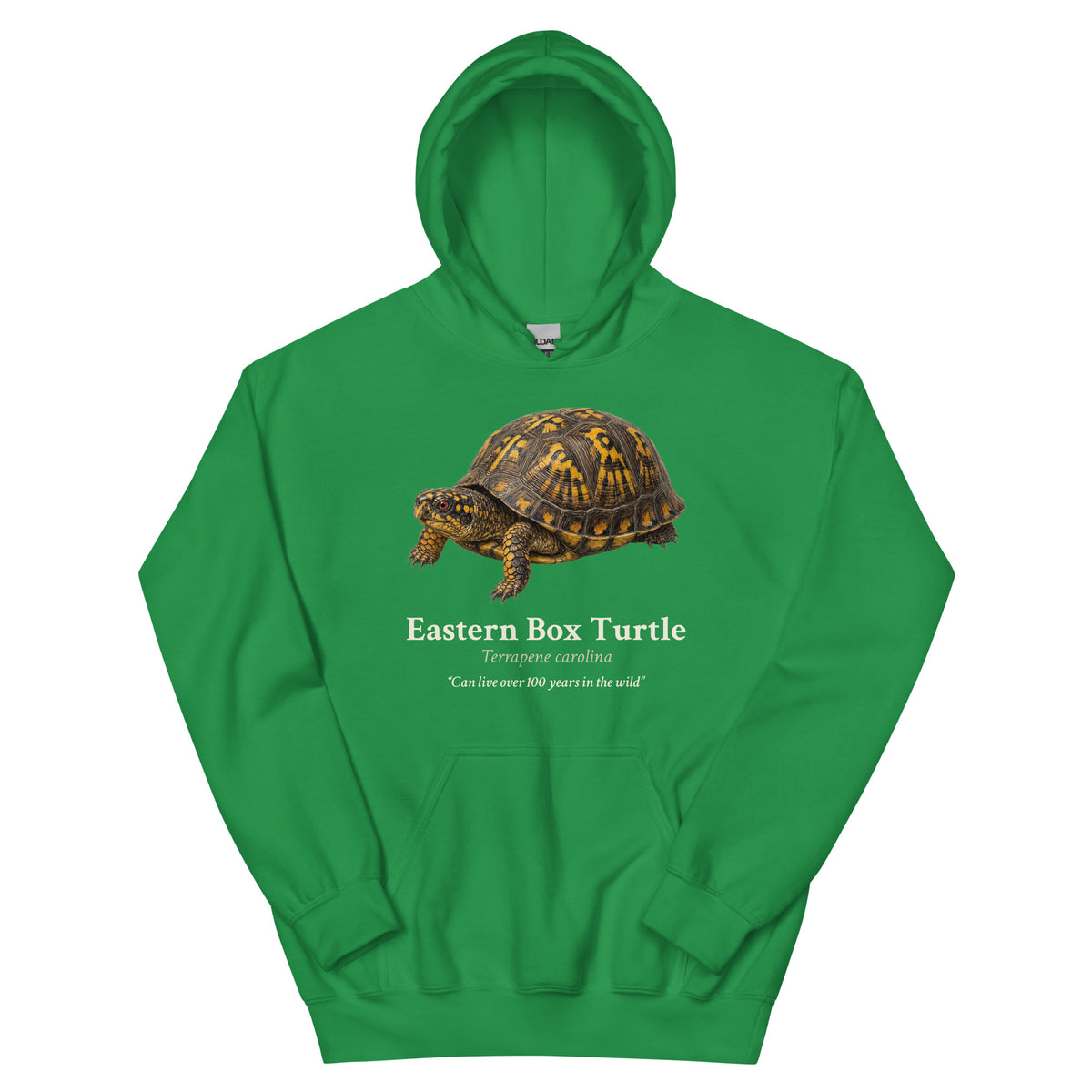 Eastern Box Turtle Hoodie – Blue & Green – Green – front