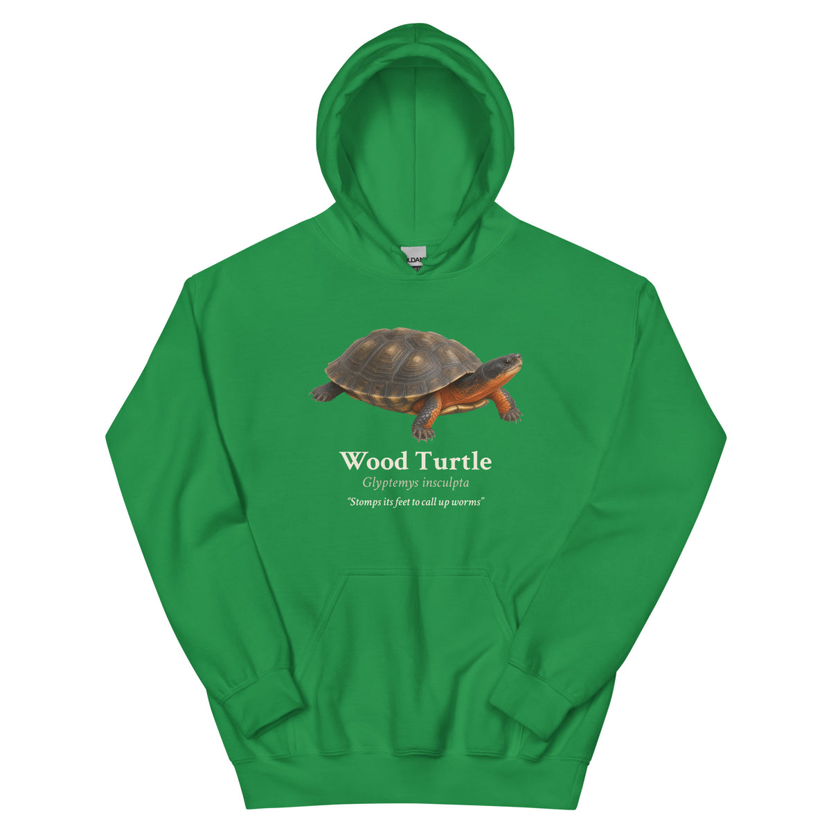 Wood Turtle Hoodie – Blue & Green – Green – front