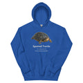 Spotted Turtle Hoodie – Blue & Green – Royal – front