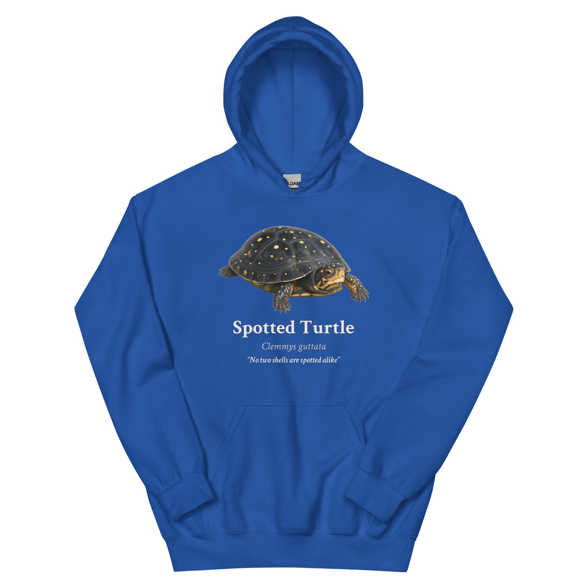 Spotted Turtle Hoodie – Blue & Green – Royal – front