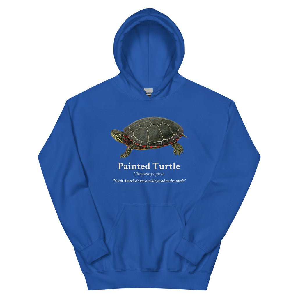 Painted Turtle Hoodie – Blue & Green – Royal – front