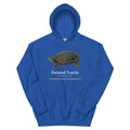 Painted Turtle Hoodie – Blue & Green – Royal – front