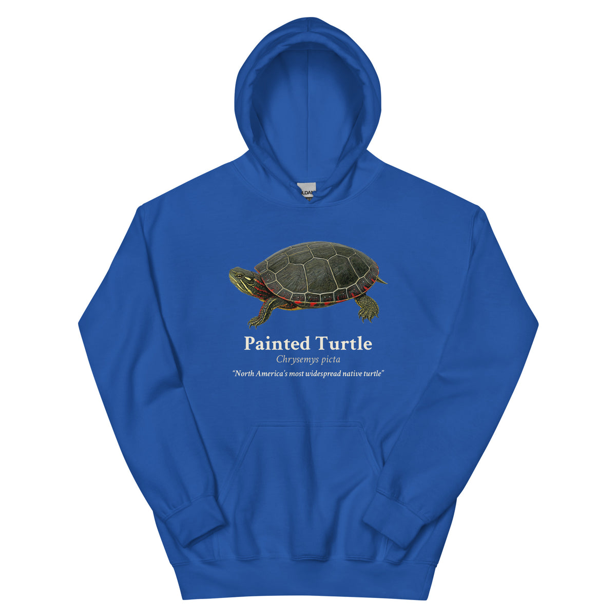 Painted Turtle Hoodie – Blue & Green – Royal – front