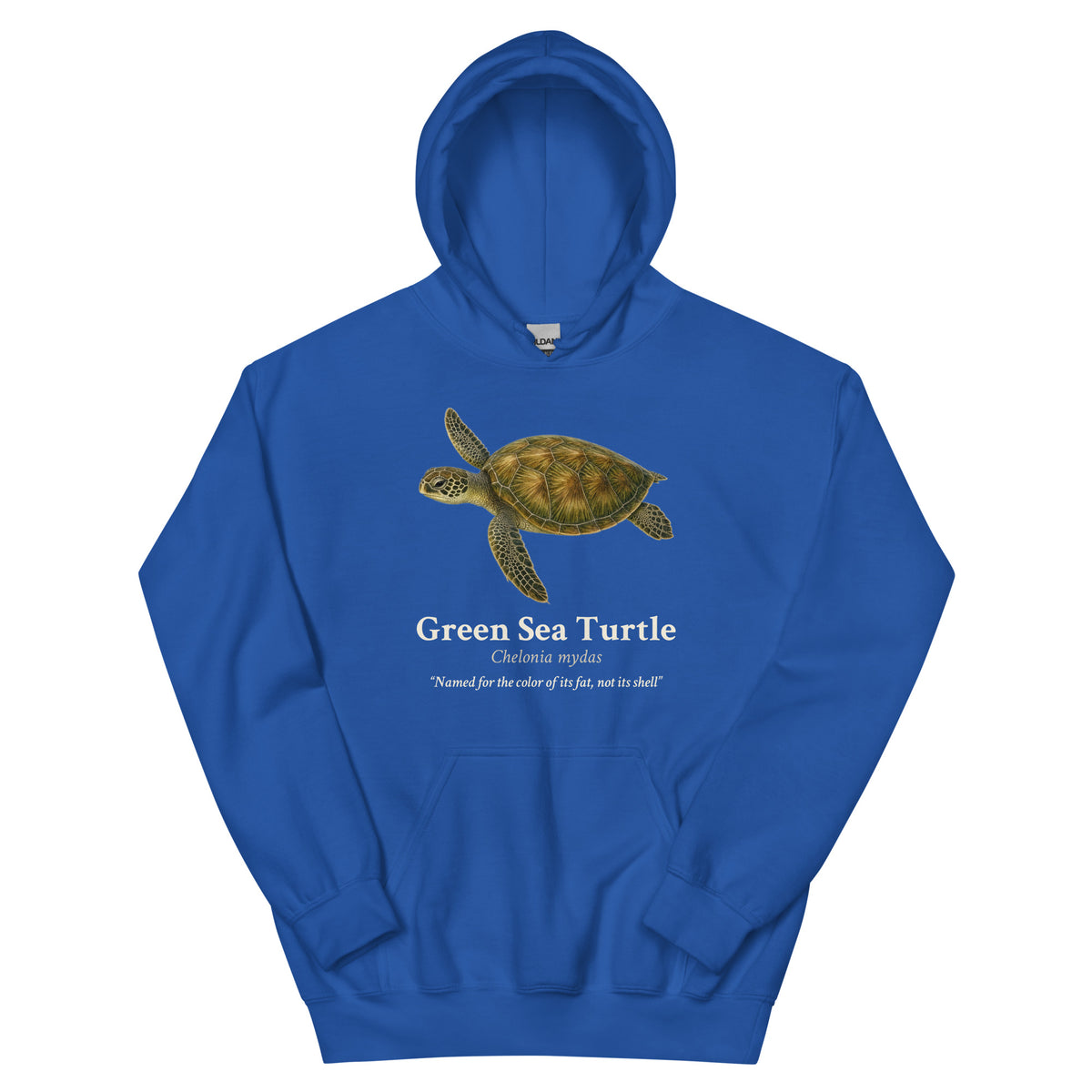 Green Sea Turtle Hoodie – Blue & Green – Royal – front