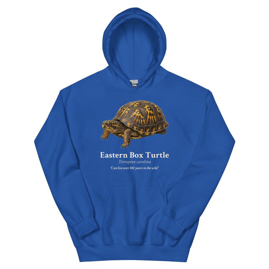 Eastern Box Turtle Hoodie – Blue & Green – Royal – front