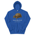 Eastern Box Turtle Hoodie – Blue & Green – Royal – front