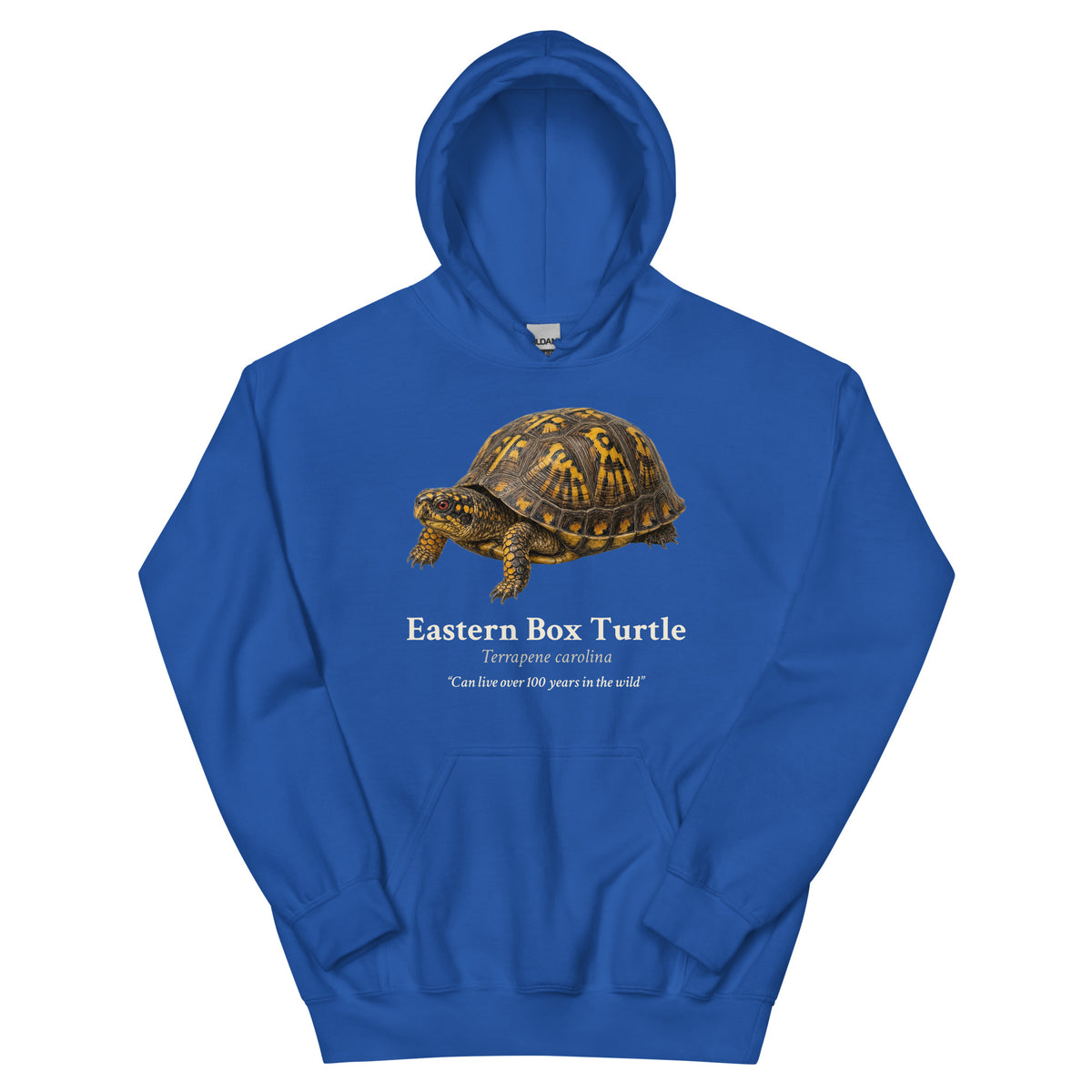 Eastern Box Turtle Hoodie – Blue & Green – Royal – front