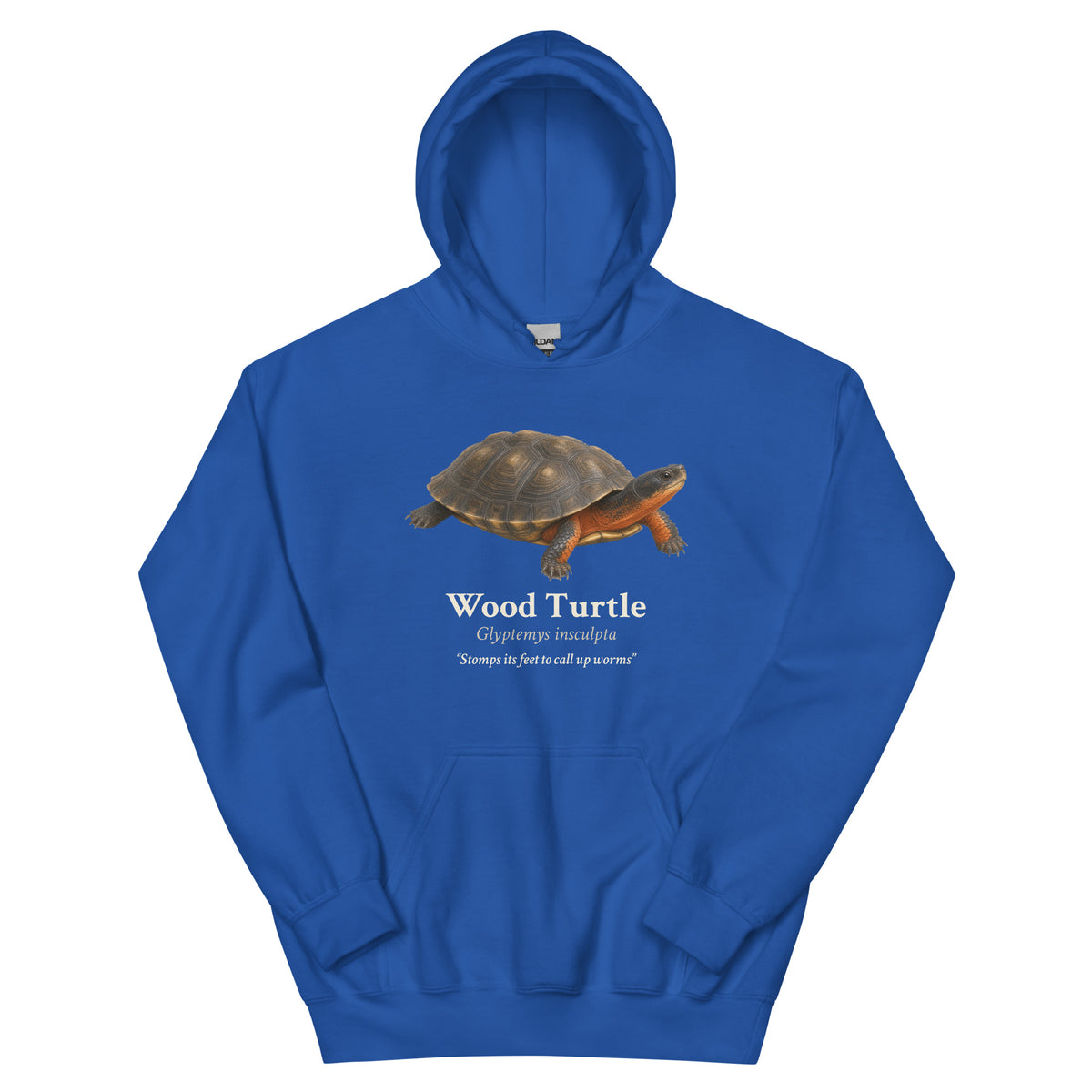 Wood Turtle Hoodie – Blue & Green – Royal – front