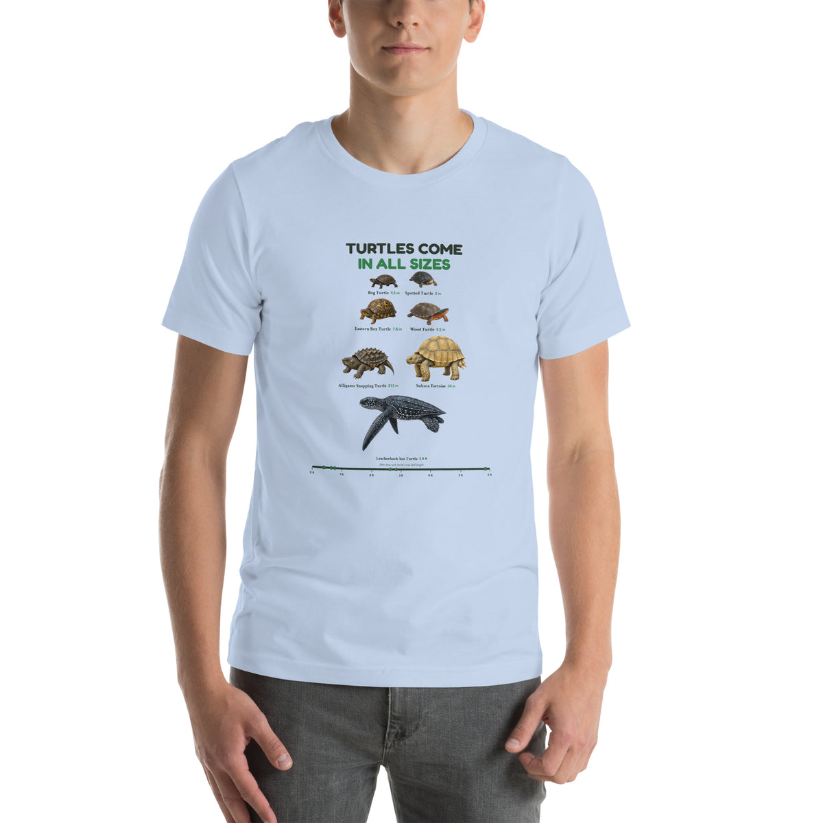 Turtles Come in All Sizes Tee – Baby Blue – front