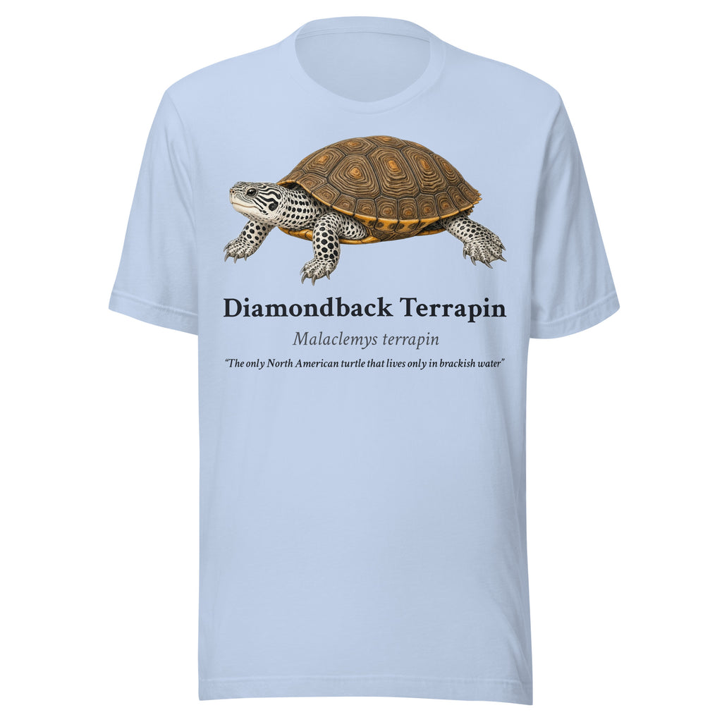 Diamondback Terrapin Tee – Baby Blue – front