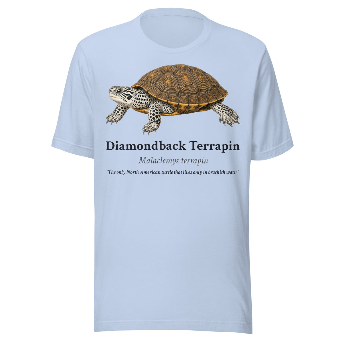 Diamondback Terrapin Tee – Baby Blue – front