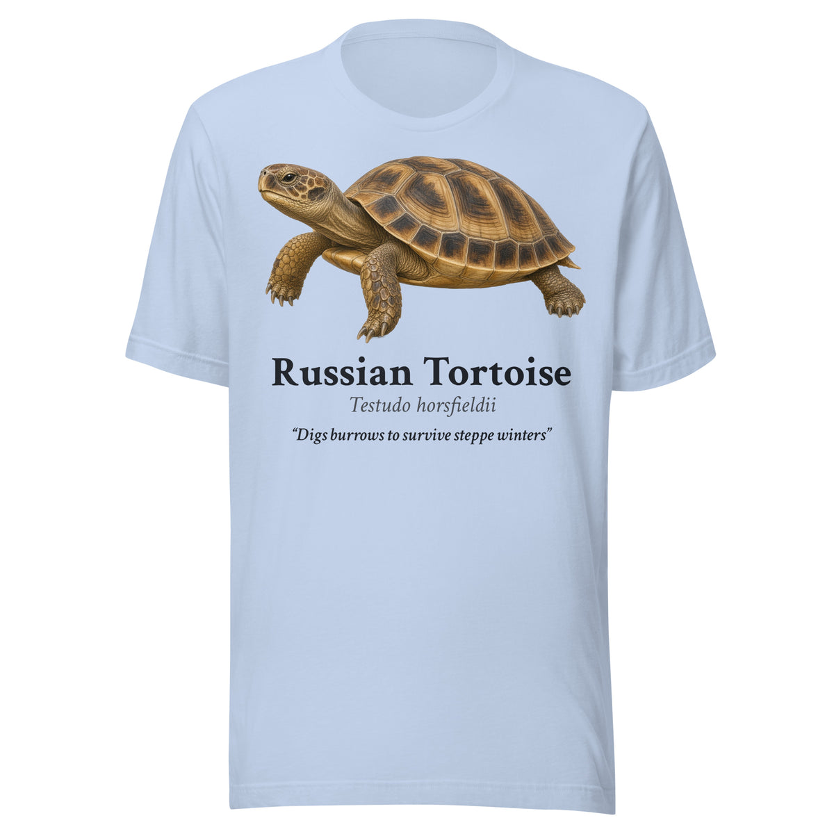 Russian Tortoise Tee – Baby Blue – front