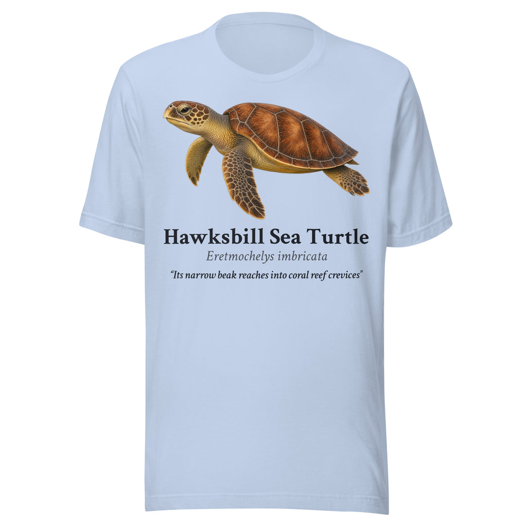 Hawksbill Sea Turtle Tee – Baby Blue – front