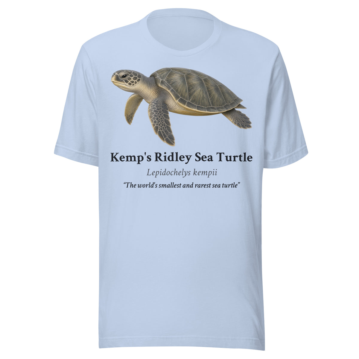 Kemp's Ridley Sea Turtle Tee – Baby Blue – front